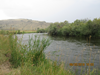An image on the Beaverhead River