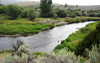 An image on Grasshopper Creek